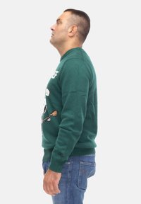 Maglione verde lavorato a maglia con un design di un panda cartoon sul davanti, scollatura rotonda e polsini e orlo a coste. Indossato con jeans blu.