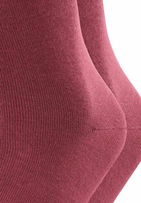 Esprit BASIC 2-PACK - Sokken - shadow red
