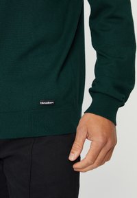 Threadbare TUCCI - Maglione - green