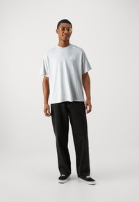 Replay M9Z1 T-SHIRT - Triko s potiskem - ash grey