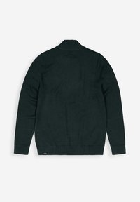 Butcher of Blue CLIFDEN HALF ZIP - Strickpullover - conda green