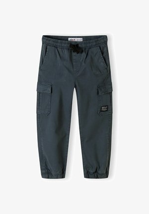 ELASTIC WAIST COMBAT STYLE - Cargo hlače - blue grey