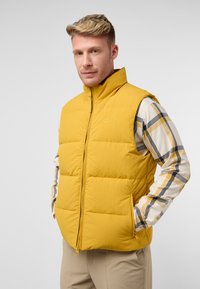Unausgewählt, mustard