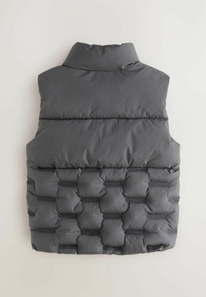 Hallgray puffer vest kõrge krae ja tikandite disainiga, millel on brändingu detail. Materjal näib olevat pehme tekstuuriga pinnaga.