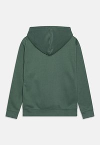 Dickies Jersey con capucha - dark green