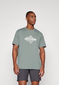 Helly Hansen SKOG GRAPHIC - Triko s potiskem - grey cactus