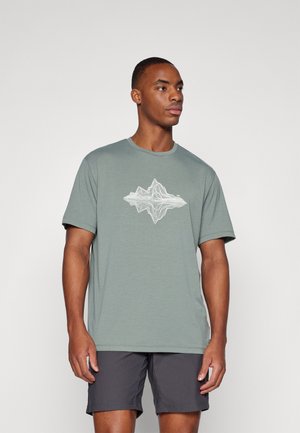 Helly Hansen SKOG GRAPHIC - Camiseta estampada - grey cactus
