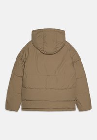 Jack & Jones Junior JJWORLD PUFFER - Žieminė striukė - elmwood