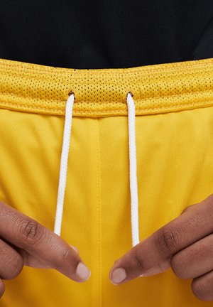 Nike Performance FUSSBALL DRI-FIT PARK  - Korte broeken - gelb