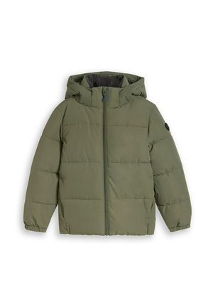 TOM TAILOR, TOM TAILOR JACKEN PUFFER-JACKE MIT ABNEHMBARER KAPUZE - Veste d'hiver - urban olive green