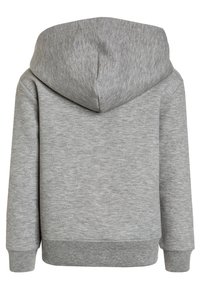 Polo Ralph Lauren HOOD - Luvtröja - grey