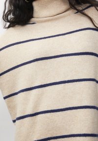 Pull à col roulé beige avec des rayures horizontales foncées, porté, montrant une partie de longs cheveux foncés.