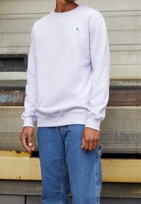 Felpa di colore viola chiaro con scollo rotondo, polsini a costine e un piccolo ricamo di un uccellino blu. Indossata con jeans blu.