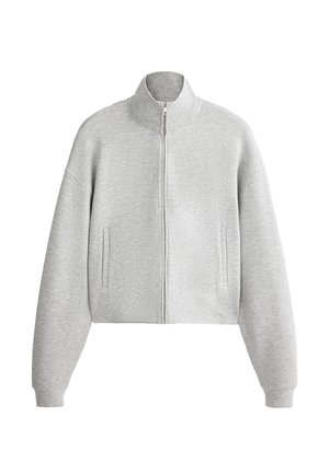 Lichtgrijs jack met rits, hoge kraag, lange mouwen en twee verticale zakken aan de voorkant, afgebeeld op een witte achtergrond.