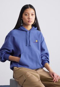 Blue hooded sweatshirt with a kangaroo pocket, featuring a small logo on the chest. Soft fabric and relaxed fit.