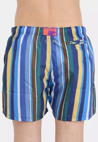 Costumi da bagno da uomo con righe verticali in blu, verde, giallo e marrone. Presentano una vita elastica e una tasca sul retro con dettagli a contrasto.