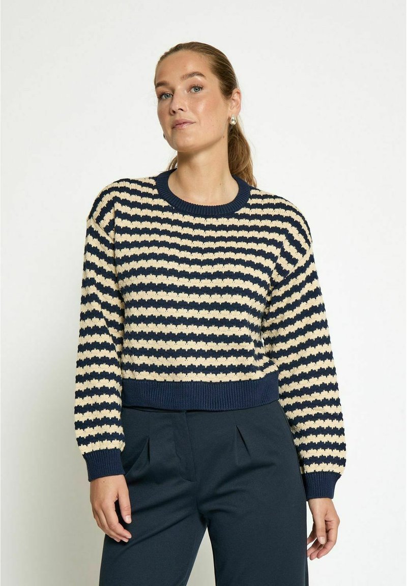 Desires SPAM  - Trui - s navy stripe
