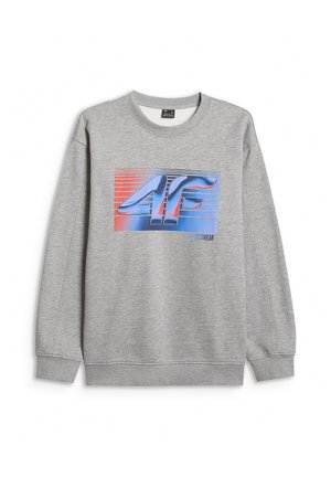 4F, 4F BLUZA DRESOWA NIEROZPINANA BEZ KAPTURA MĘSKA - Sweatshirt - cold light grey melange