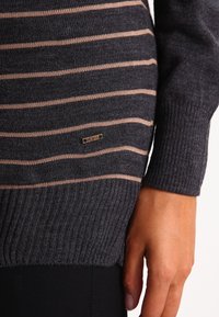 Ciemnoszary sweter z poziomymi beżowymi paskami. Posiada prążkowane mankiety i pas. Mała metalowa metka z logo w pobliżu dołu. Miękka, fakturowana tkanina.