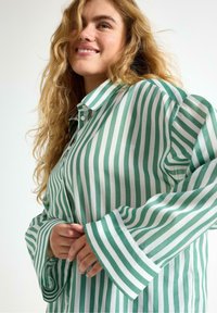 Camicia a righe verdi e bianche con colletto abbottonato e maniche ampie, realizzata in un tessuto liscio con una vestibilità rilassata.