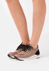 Marco Tozzi LACE UP - Sneaker low - taupe