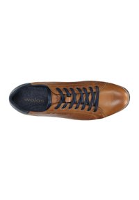 Wojas Stringate sportive - brown