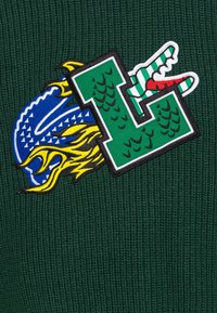 Grönt stickat tyg med färgglada broderade lappar: en blå och gul drake med lågor och ett grönt "L" accentuerat med röda och vita ränder.