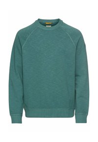 Green sweatshirt with a textured, heathered finish. Features a crew neck, raglan sleeves, and ribbed cuffs and hem. Simple design.