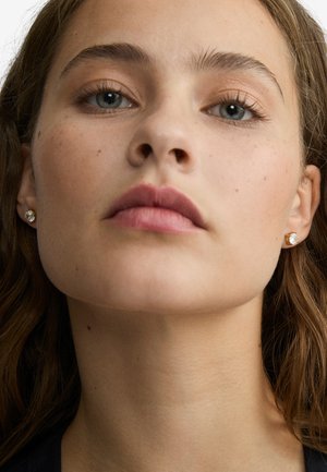 Pilgrim, RAVI UNISEX - Earrings - gold-coloured