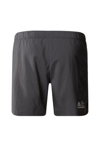 The North Face MA GRAPHIC - Shorts - anthracite grey tnf bla