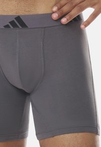 Boxers athlétiques gris foncé avec une coupe ajustée, dotés d'une large ceinture grise et de rayures noires avec logo sur le dessus. Texture lisse.