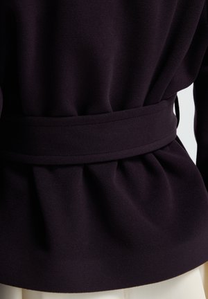 Paarse stoffen kleding met geplooide taille, voorzien van een brede bijpassende riem en een gladde textuur, vanuit de achterkant getoond.
