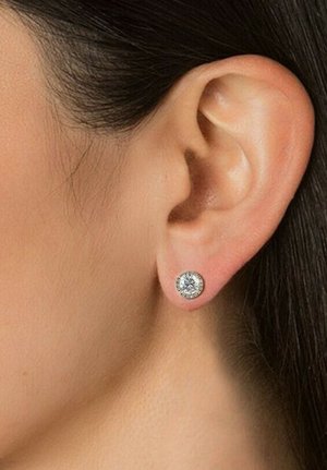 Zilveren studs die een centrale heldere steen bevatten, omringd door een cirkelvormige rij van kleinere heldere stenen, gezet in een gepolijste metalen achtergrond.