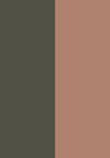 café / gilded green