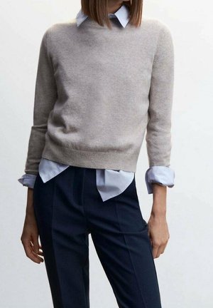 Beige wollen trui met een ronde hals en lange mouwen, gedragen over een lichtblauw overhemd met kraag. Marineblauwe tailorpantalons met scherpe plooien.