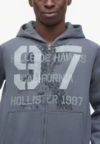 Jeune personne portant un sweat à capuche gris zippé avec un grand numéro 97 et du texte incluant California et Hollister 1997 à l'avant.