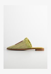 Selected, lentil sprout green