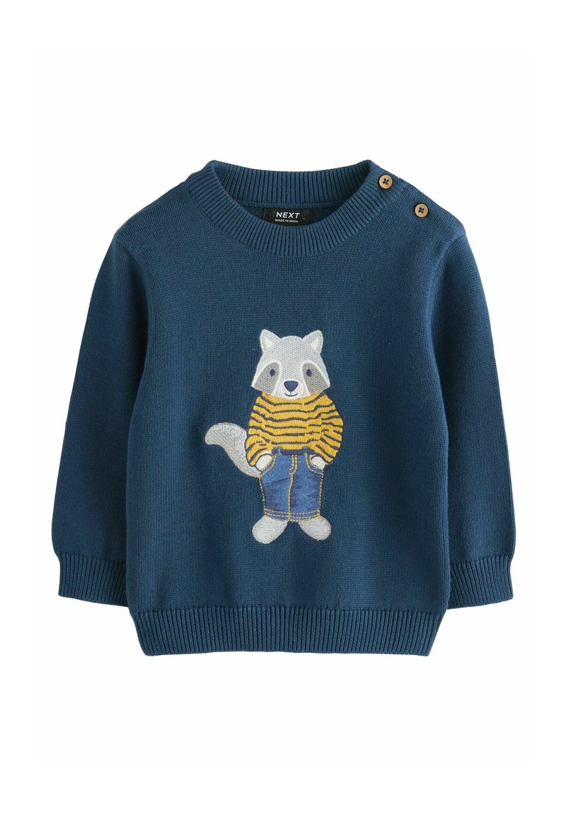 Pull en tricot bleu marine avec col rond, arborant un raton laveur brodé portant une chemise rayée jaune et un jean bleu. Deux boutons sur l'épaule.