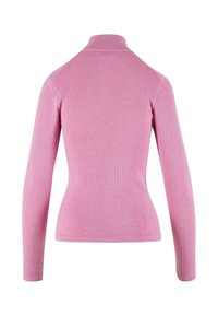 Langärmliger, taillierter Rollkragenpullover aus weichem, pink gestreiftem Stoff. Mit einem hohen Kragen und glatter Textur. Rückansicht dargestellt.