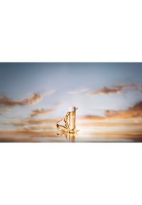 Miniatyrbild 4
