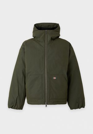 Dickies, SAFFORD HOODED PUFFER - Зимно яке - deep depths