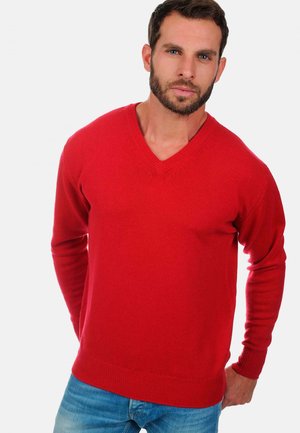 HIPPOLYTE  - Strickpullover - rouge velours
