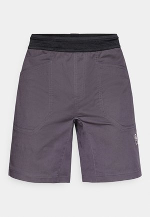 Hallid hallid šortid musta elastse vöökoha, kahe küljetasku ja kontrastsete õmblustega. Materjal paistab kerge ja vastupidav.