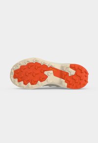adidas Terrex SKYCHASER AX5 GORE TEX - Παπούτσια πεζοπορίας - white/off white/alumina