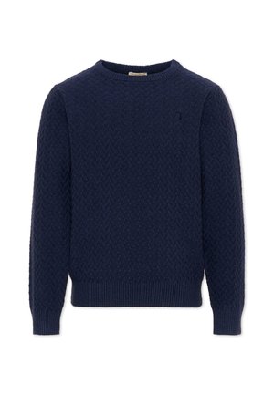 TRU TRUSSARDI JUNIOR, MAGLIONE - Trui - blue