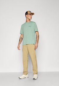 Patagonia DAILY GRAPHIC SHIRT - T-shirt de sport - ellwood green