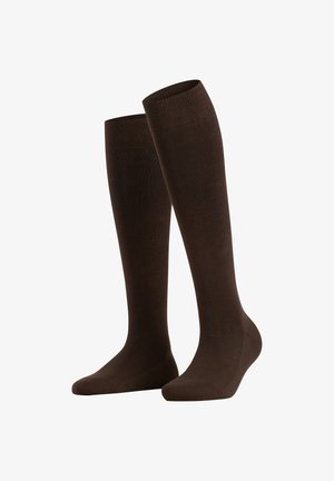 Family - Calcetines hasta la rodilla - dark brown (5239)