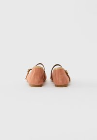 Un par de zapatos planos de ante rosa con correas en el tobillo y hebillas doradas, vistos desde la parte trasera sobre un fondo blanco.