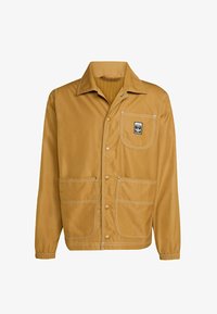 Nevybráno, bronze strata