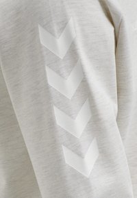 Ljusgrå sweatshirt med långa ärmar; har tre vita chevronmönster på vänster ärm; tillverkad av ett strukturerat tyg.